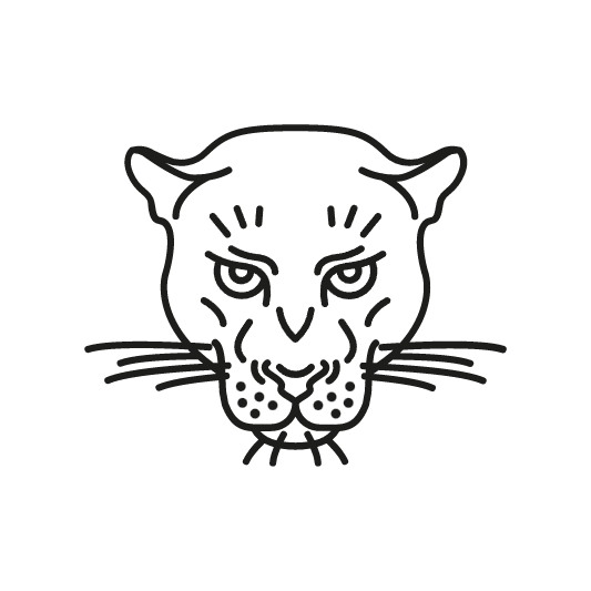 Logo Agence La Panthère, agence de web design Lyon